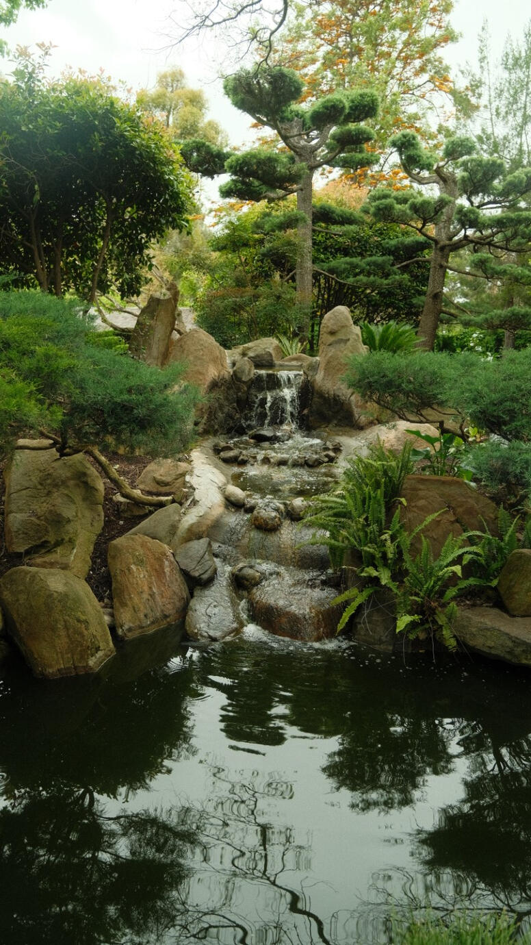 Japanese Garden