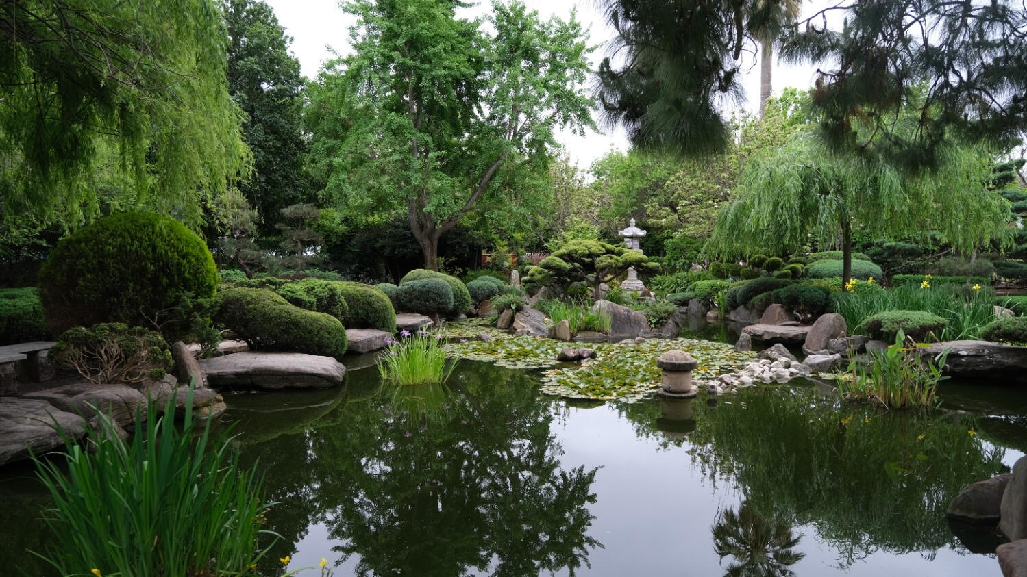 Japenese Garden